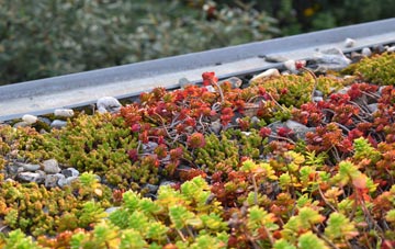 the cost of Wolstenholme green roof installation